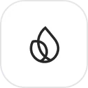 firebase