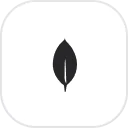 mongodb